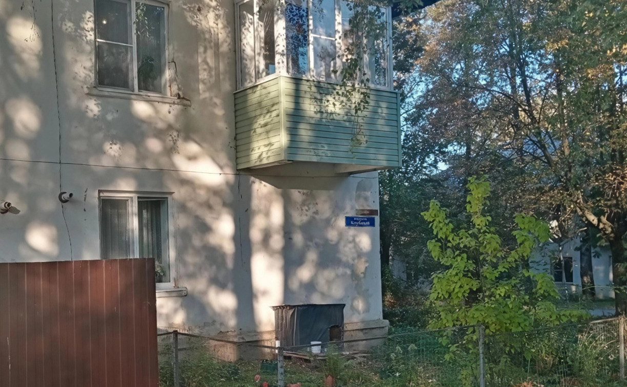 Многодетная мать из пос. Ломинцевского: «Сына покусала собака, которую прикормила у дома соседка»