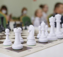 Тульские школы получили награды за развитие шахматного образования