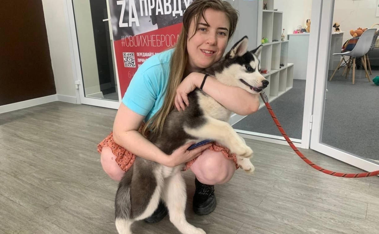 Туляков приглашают побыть волонтёрами в приюте для бездомных животных