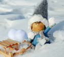 Погода в Тульской области на 13 января: небольшой снег и до +3