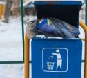 Региональных мусорных операторов освободят от уплаты НДС