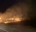 В Ясногорском районе загорелось поле