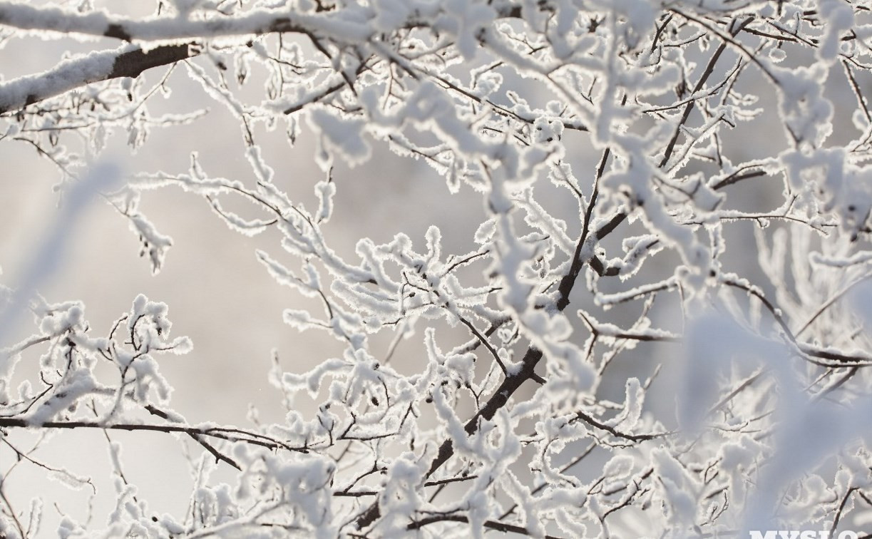 Погода в Туле на выходных: лёгкий мороз, снег и переменная облачность