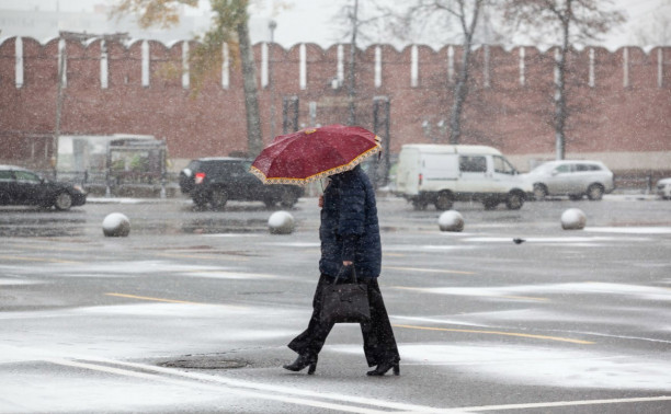 Туляков предупреждают о сильном мокром снеге