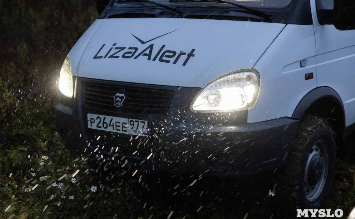 Пропавшую в Тульской области 10-летнюю девочку нашли живой