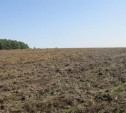 МИЗО: Заросшие земельные участки в Тульской области подлежат изъятию!