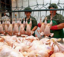 Россия ввела запрет на ввоз мяса птицы из США