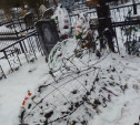Житель Алексина умер на могиле своей матери
