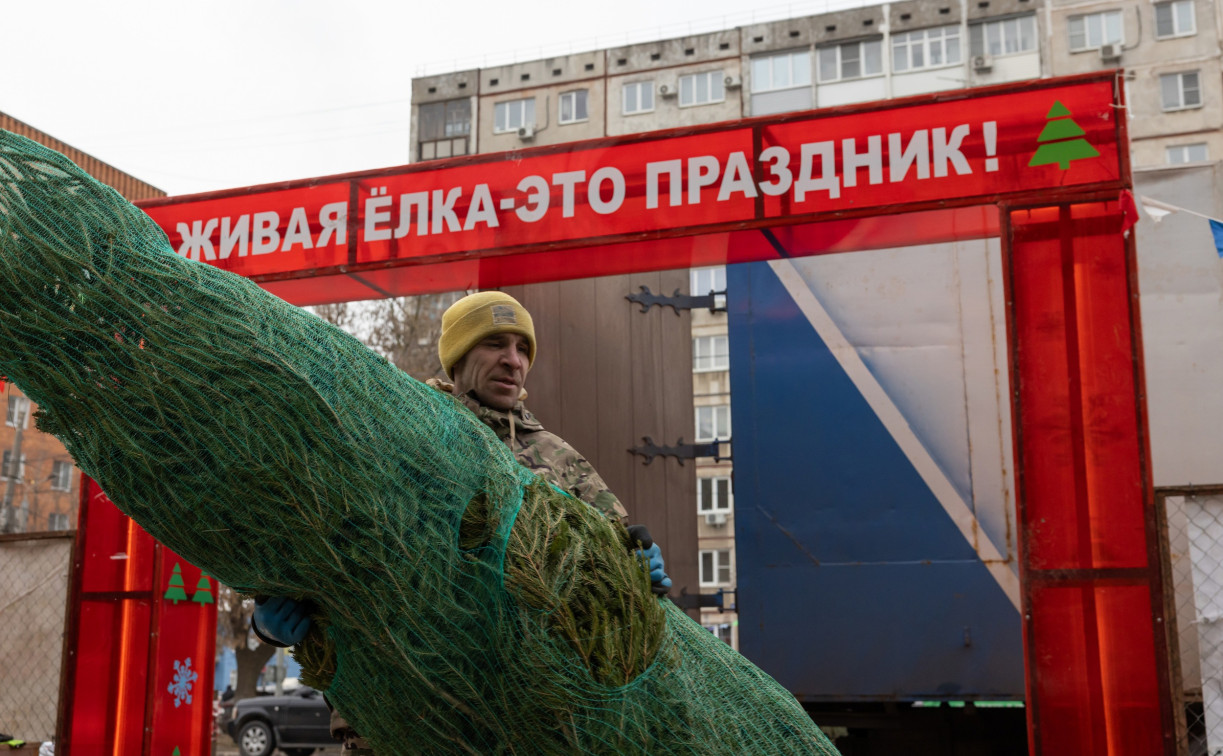 20 декабря в Туле откроются 34 ёлочных базара: интерактивная карта и цены