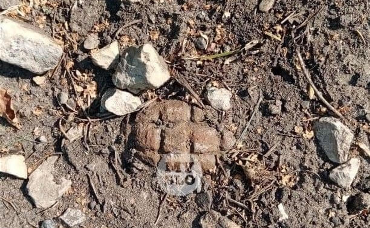 Житель Тульской области косил траву и нашел гранату