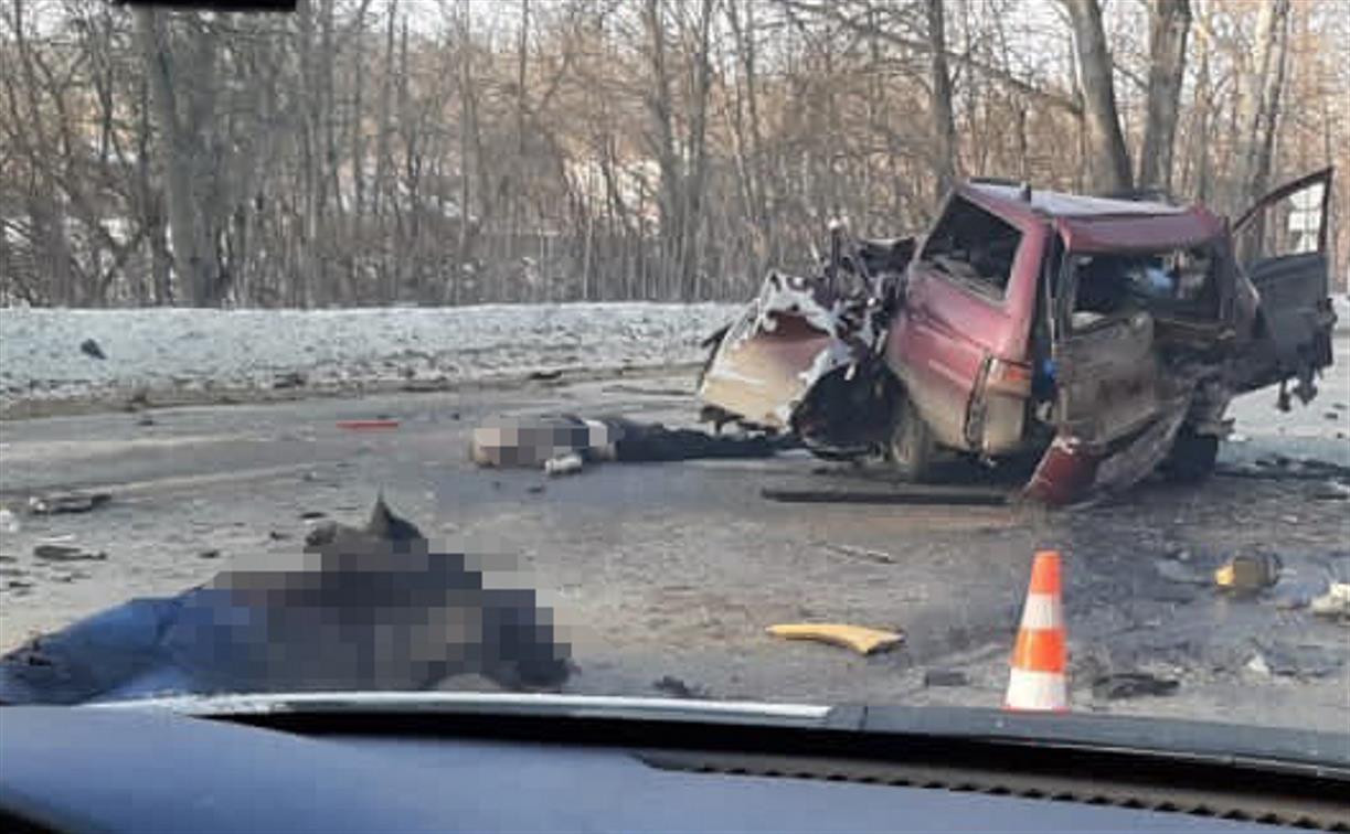 В жутком ДТП под Новомосковском погибли два человека