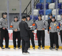 Судейская коллегия Тульской области проводит набор хоккейных арбитров 