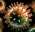 За минувшие сутки в Тульской области зарегистрирован 201 новый случай коронавируса