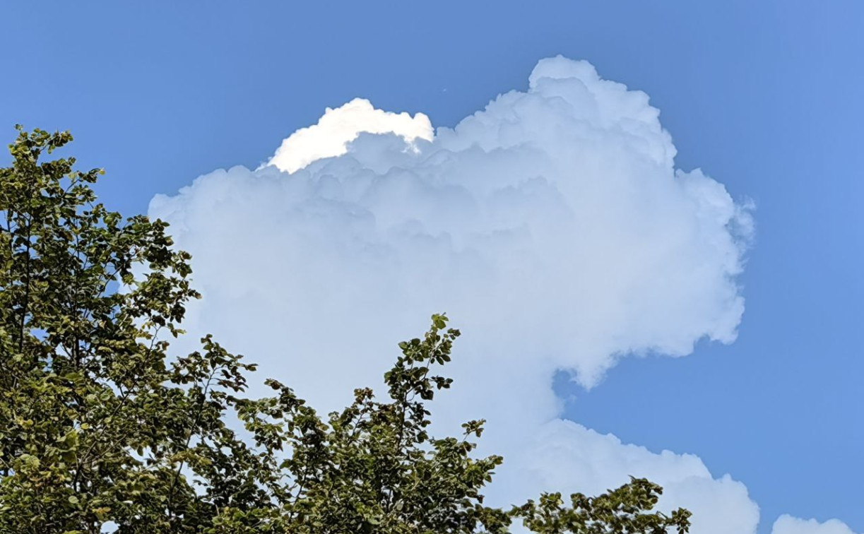 Погода в Туле 8 августа: без осадков и до +25 градусов