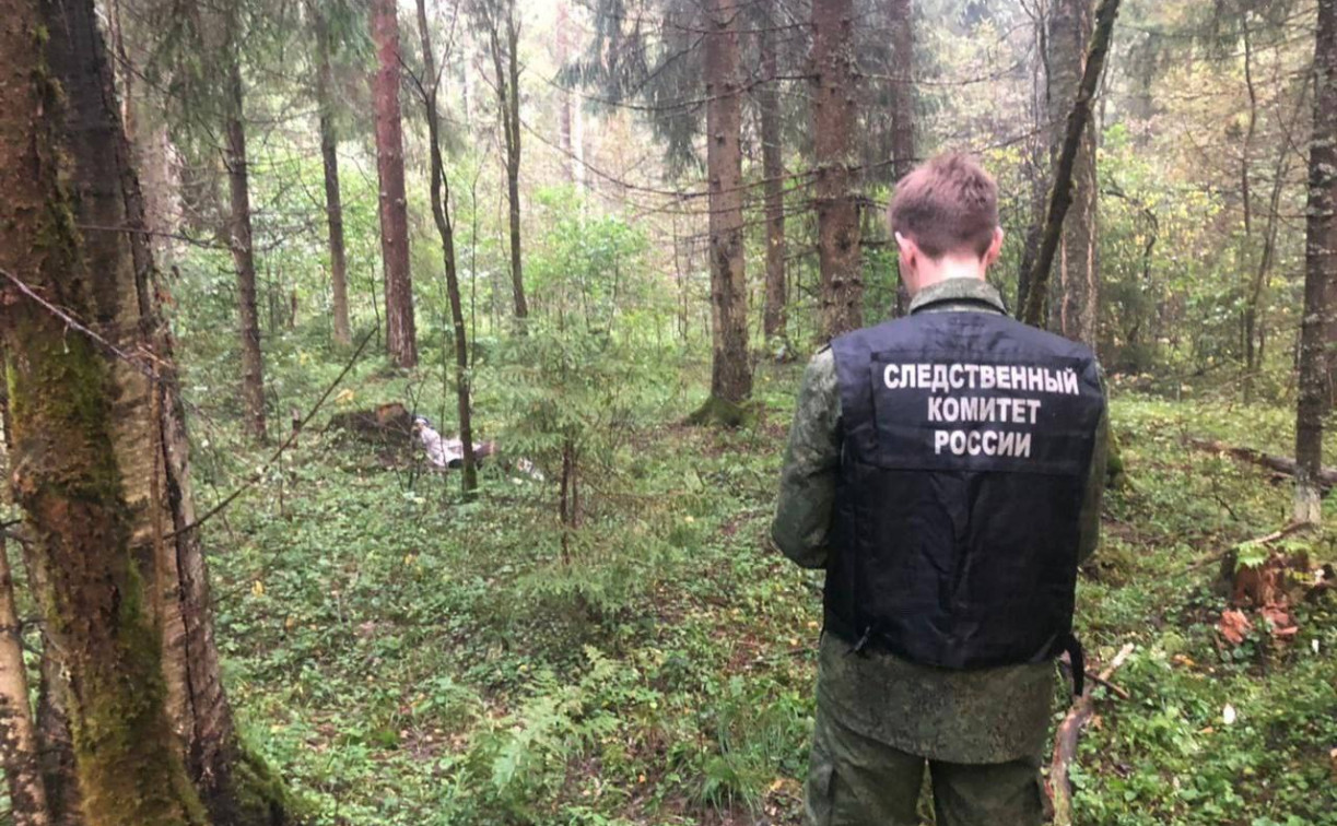 СК завел уголовное дело по факту убийства девушки в лесополосе под Тулой 