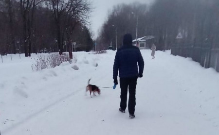 Жизнь Тулы и области