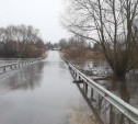 Тульское МЧС спрогнозировало подтопление 12 мостов во время паводка
