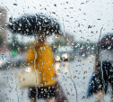 Выходные в Тульской области будут холодными и дождливыми