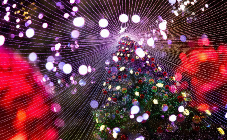 Жизнь Тулы и области