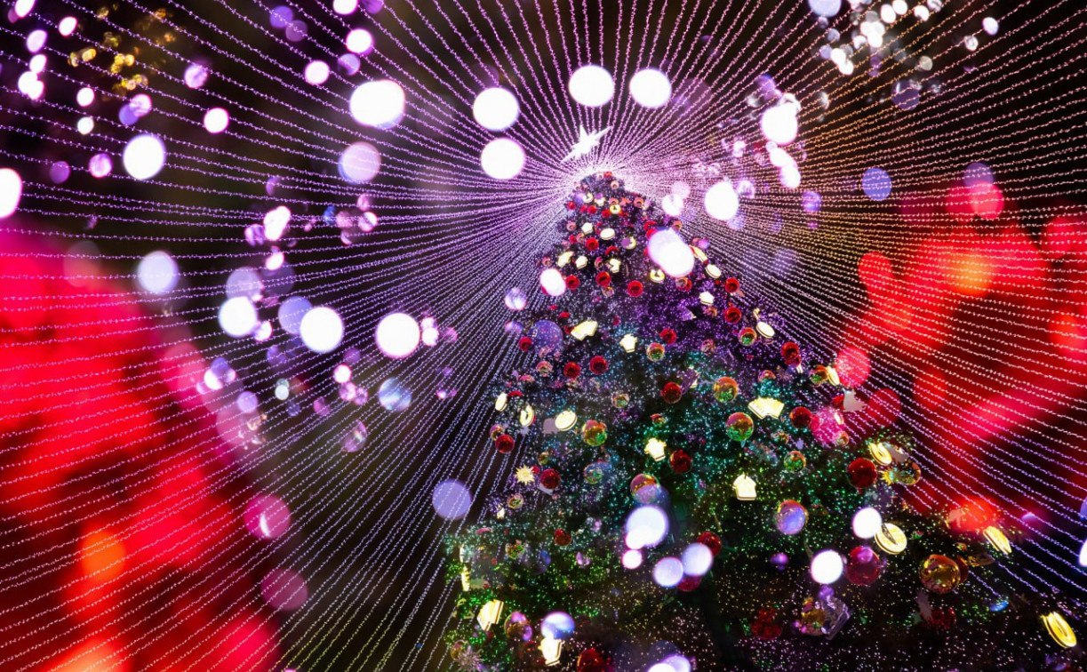 Ёлка на площади Ленина будет стоять до 1 марта