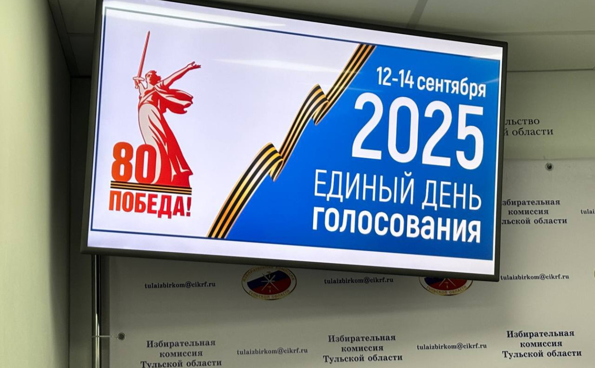 208 кандидатов принимают участие в выборах в Тульской области