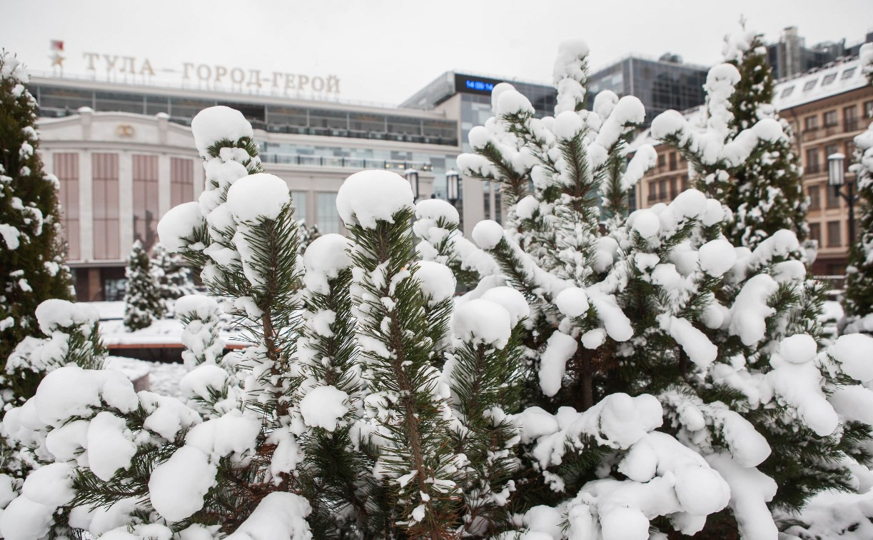 Погода в Туле 15 января: снег, гололед и ветер