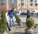 В Алексине появилась Аллея Славы