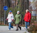 В Рогожинском парке Тулы пройдет фестиваль северной ходьбы