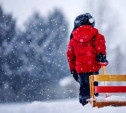 Погода в Туле 30 декабря: облачно, небольшой снег и до -9 градусов