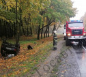 В Чернском районе в ДТП погиб водитель «Нивы»