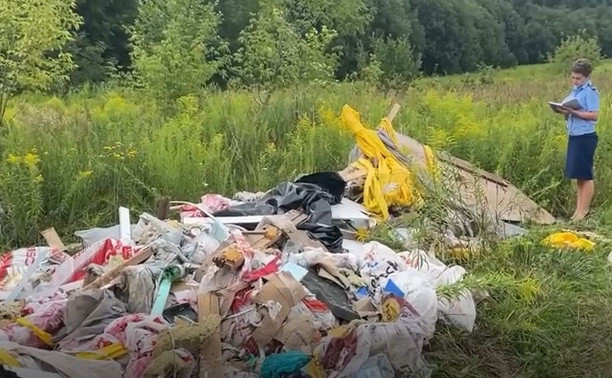 Прокуратура Ленинского района Тулы проверила жалобы жителей на жуткую свалку в Верхнем Елькино