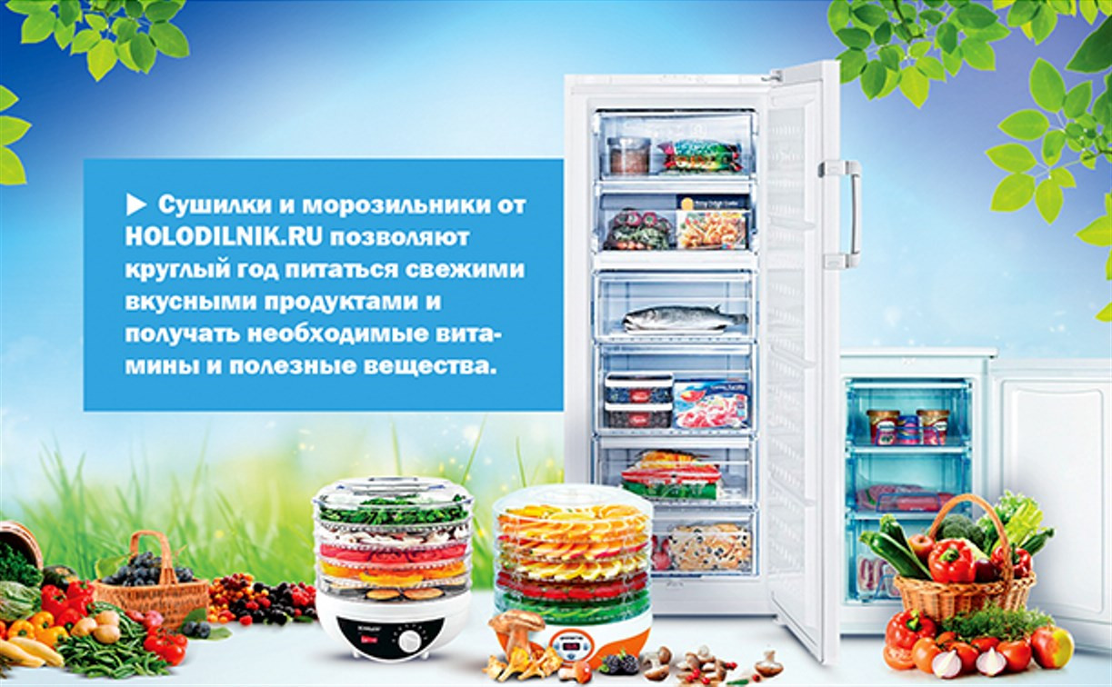 Холодильник.ру: Техника для заготовки и хранения продуктов