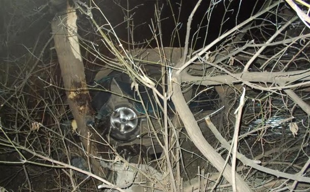 Водитель протаранил дерево на ул. Ф. Смирнова и скрылся с места аварии