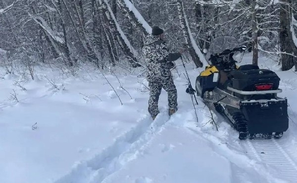 В Тульской области посчитают косуль, оленей и лосей