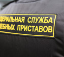 Житель Тульской области оплатил уголовный штраф ради отпуска в Египте