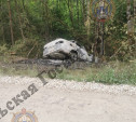 В Алексинском районе «десятка» врезалась в дерево и загорелась: водитель погиб