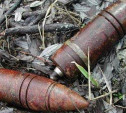 Тулячка нашла на помойке 16 артиллерийских снарядов
