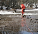 В Ефремовском районе сотрудники МЧС спасли дрейфующую на льдине собаку 