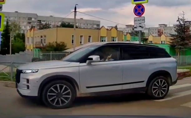 В Туле водитель проехал «против шерсти» с комбинацией из трех пальцев