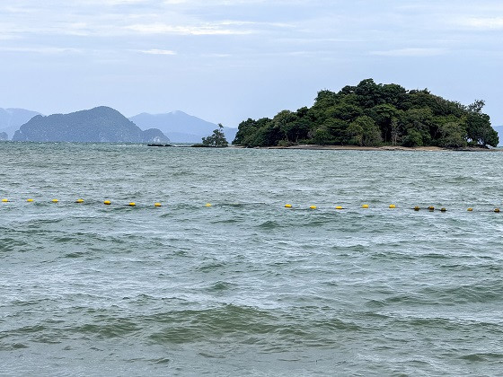 Во время купания в Таиланде погибла 63-летняя тулячка