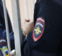 Новомосковские полицейские раскрыли кражу золотых украшений 