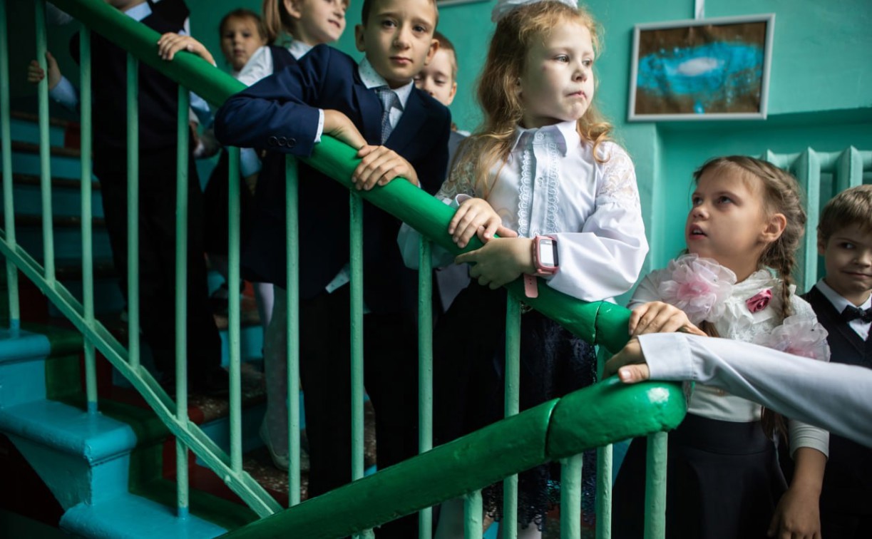 Готовимся к ЕГЭ: сколько стоят репетиторы в Туле и какие предметы в топе