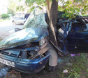 В Донском водитель «намотал» «Ладу» на дерево и погиб