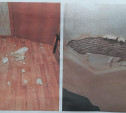Опасный капремонт в квартире: туляк в суде требует с соседки компенсацию за разрушение стен и потолка