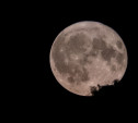 Туляки увидят первое осеннее суперлуние