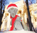 Памятник Хвосту утеплили к зиме