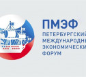 Тульская область будет в центре внимания на Петербургском международном экономическом форуме
