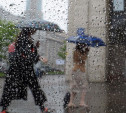 Погода в Туле 15 мая: небольшой дождь, до +15 и порывистый ветер