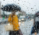 Погода в Туле 11 июля: дождь с грозой и сильный ветер