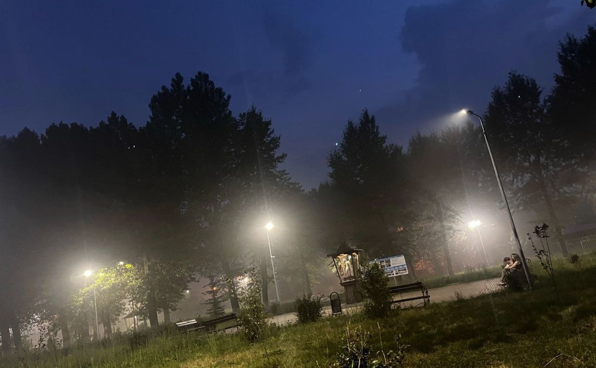 Зловонный туман в Новомосковске: глава СК поручил организовать проверку по факту возможных нарушений экологических норм